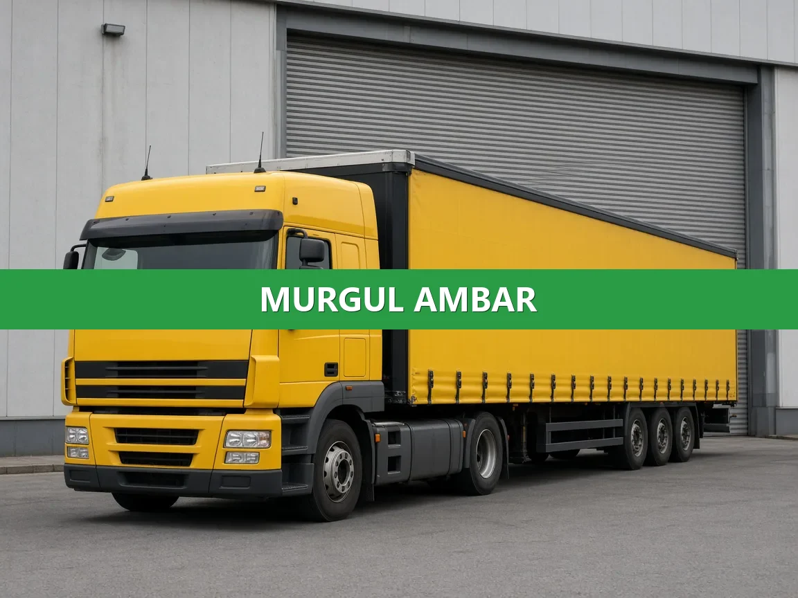 Murgul Ambar